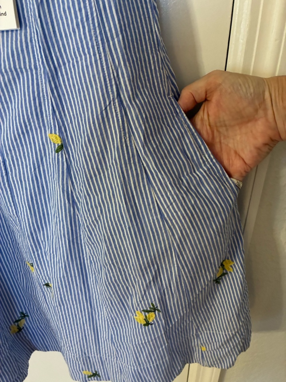 Women’s Free Assembly Blue Striped Lemon Embroidered Dress - Picture 7 of 11
